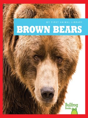 cover image of Brown Bears
